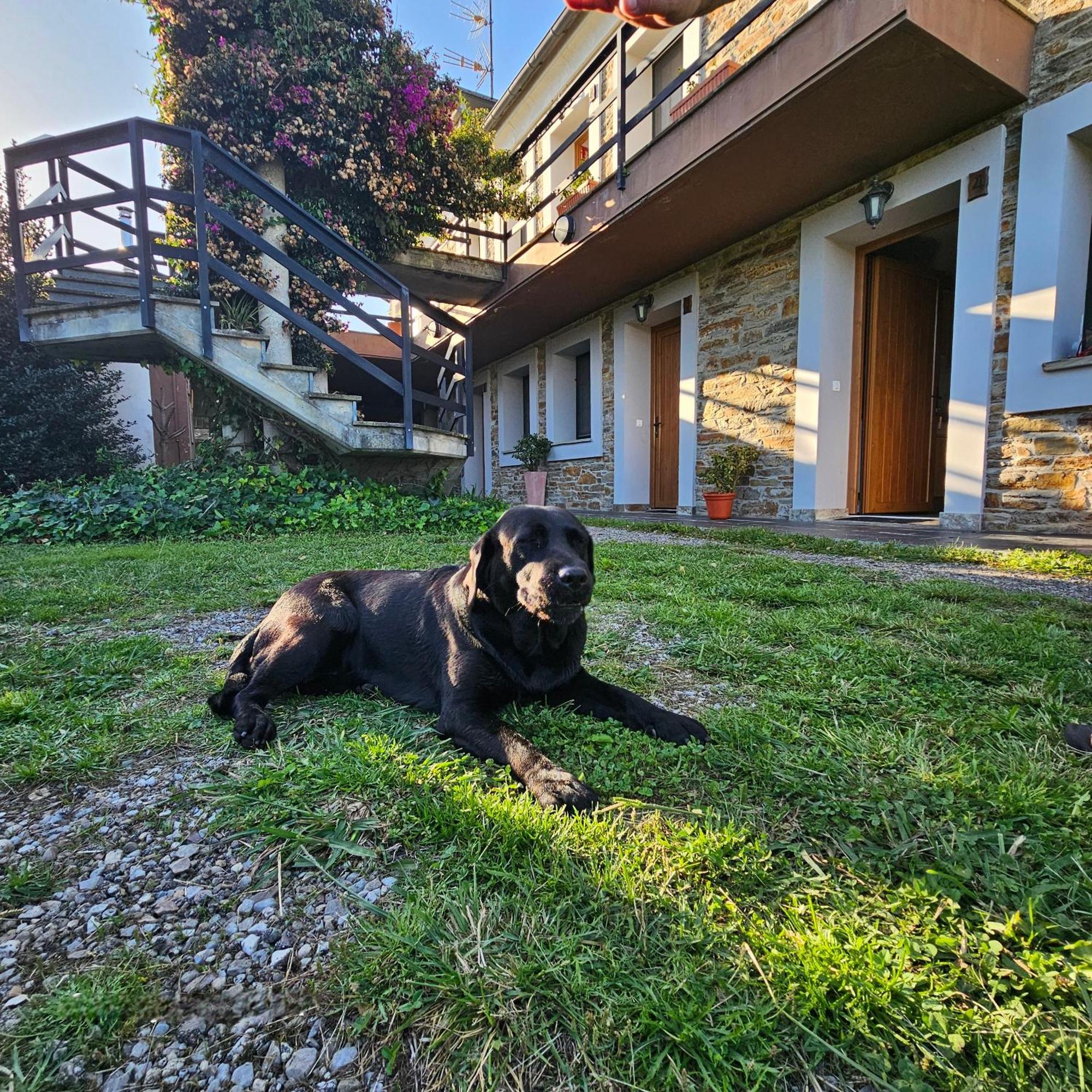 Apartamentos Castello Cartavio Bagian luar foto